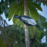 Reino Encantado - Pousada e Flutuação