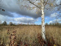 Teichgebiet Rauden-Mönau