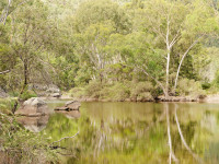 Broadwater Campground and Permanent Waterhole Track