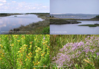 Domaine de Certes et Graveyron