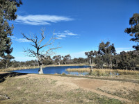 Callum Brae Nature Reserve