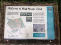 Shut Heath Wood
