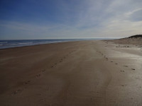 Barry Buddon Seaward Side