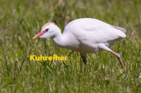 Unterer Inn - Minaberg