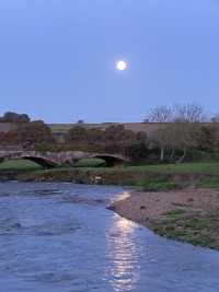Tipton St John Weir and Fish Pass