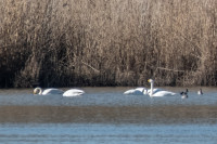 Etangs de Belval-en-Argonne