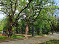 Sayat Nova Park