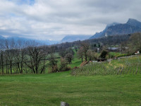 Maienfeld Vineyards and Orchards