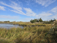 Mill Creek Marsh