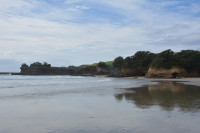 Tawharanui Regional Park