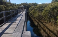 Bunbury Mangrove Boardwalk