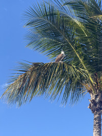 Everglades National Park - Guy Bradley Trail