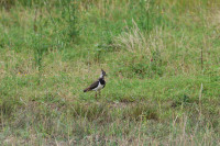 Offstein Klärteiche