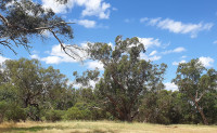 River Bank Reserve