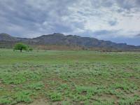 Vashlovani National Park West