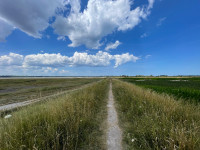 Polder de Ploubalay