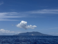 Sandspit Hauraki Gulf Pelagic