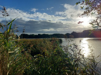 Fischteich Boeker Mühle