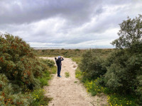 Noordzeeboulevard - Tweede Maasvlakte