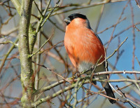 Diemerpark Amsterdam