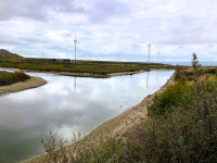 Vogelvallei - Tweede Maasvlakte