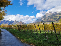 Rohanschanze and Malans Vineyards
