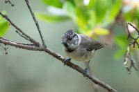 Boticas Parque Natureza e Biodiversidade