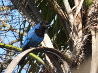 Paso Centurión y Sierra de Ríos