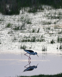 Stinkerseen, Hölle, and Lettengrube