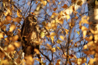 Volkspark Marienberg