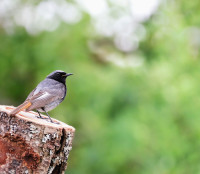 Schloss Kalteneck und Park