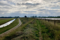 Sir Peter Scott Lighthouse