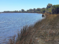 Len Howard Conservation Reserve