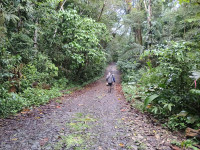 Panama Rainforest Discovery Center