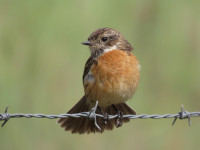 Antiga Estrada Nacional 391