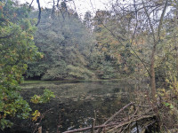 C.S. Lewis Nature Reserve