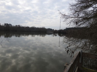 Bogue Chitto NWR - Jim Schmidt Boardwalk