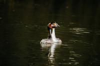 Little Marlow Gravel Pit
