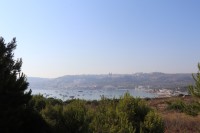 Foresta 2000 Nature Reserve