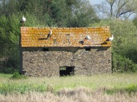 Bioria Nature Reserve