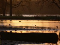 Bieslandse Bovenpolder