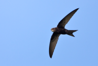 Explanada del Muelle Águilas