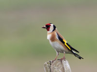 Flugplatz Esslingen - Jägerhaus